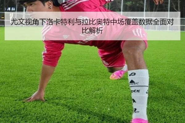 尤文视角下洛卡特利与拉比奥特中场覆盖数据全面对比解析